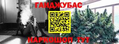 шишки Моздок