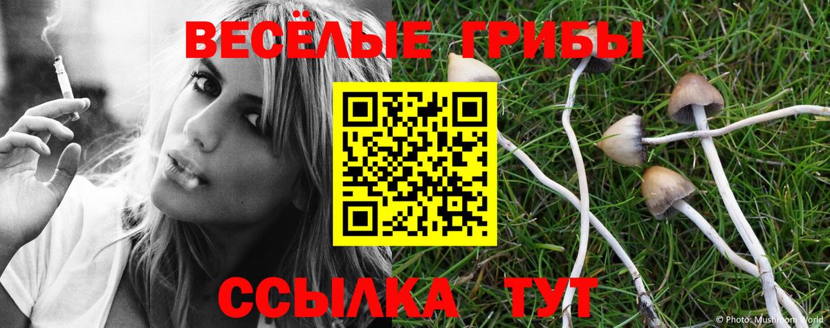 Галлюциногенные грибы GOLDEN TEACHER Глазов