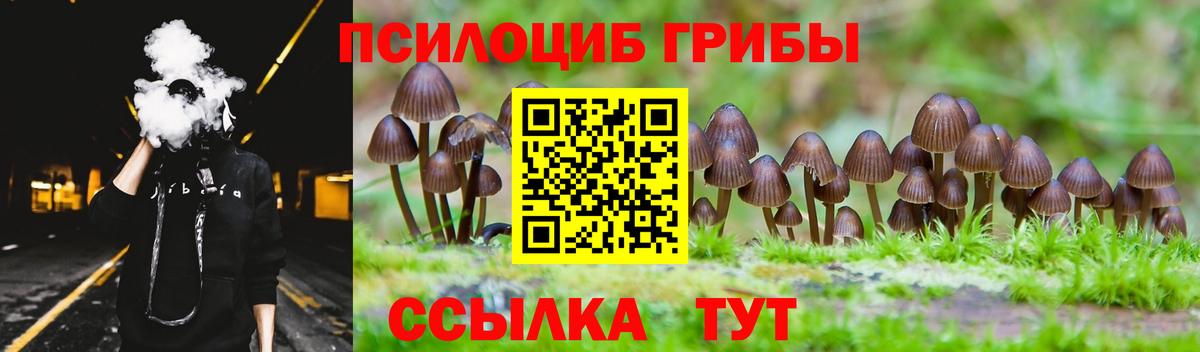 Псилоцибиновые грибы Magic Shrooms  Вход с VPN  Глазов  Галлюциногенные грибы Magic Shrooms 